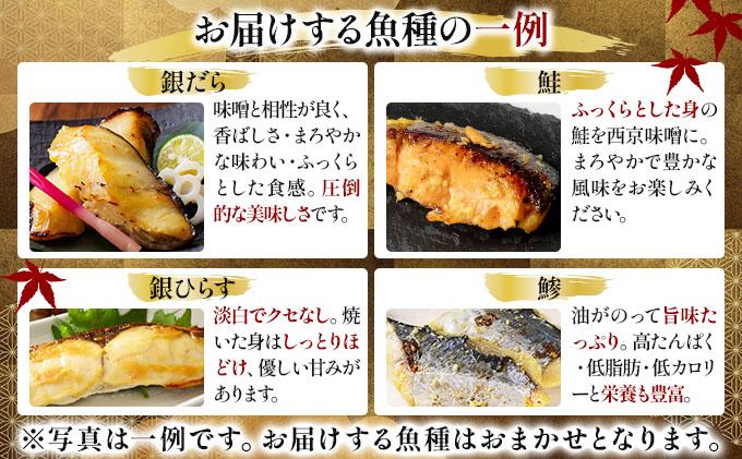 《訳あり》16種の中からおまかせ5種 西京漬け20枚 4切れ×5袋 | 魚 鯵 アジ 鰆 サワラ 切身 切り身 海鮮 魚介 水産品 水産加工品 国内製造 食品 加工食品 小分け 冷凍 家庭用 おかず 弁当 おつまみ