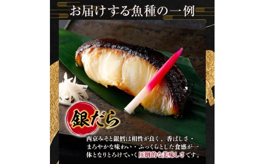 【訳あり】 16種の中からおまかせ5種 西京漬け20枚 4切れ×5袋 YZ008