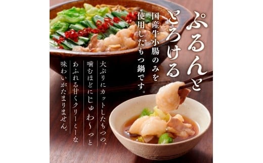 博多もつ鍋セット（あごだし醤油味）3-4人前 AZ079