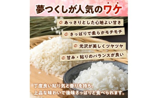 福岡県産「夢つくし」無菌パックご飯（24パック） ZX01