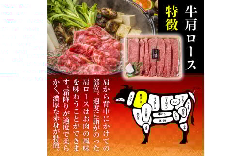 福岡県産 特選 博多和牛 すき焼き用 600g VY001