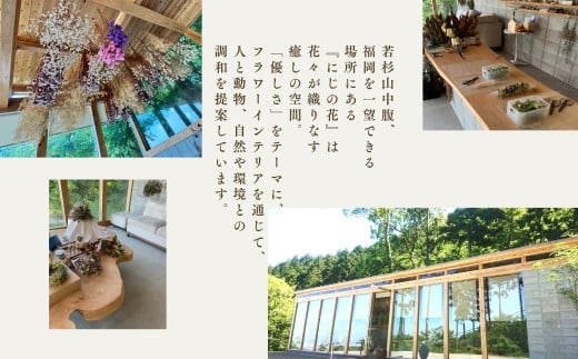 ドライフラワースワッグ（ワイルドフラワー）XY002