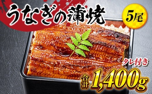 うなぎの蒲焼５尾 タレ付き（４本） YZ004