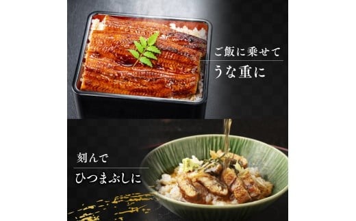 うなぎの蒲焼５尾 タレ付き（４本） YZ004