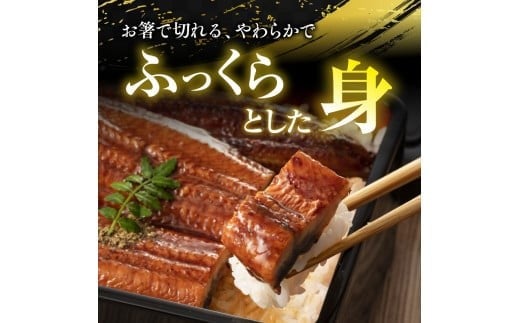 ããªãã®è²çŒïŒå°Ÿ ã¿ã¬ä»ãïŒïŒæ¬ïŒYZ003