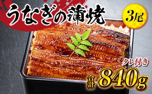 うなぎの蒲焼３尾 タレ付き（２本）YZ002