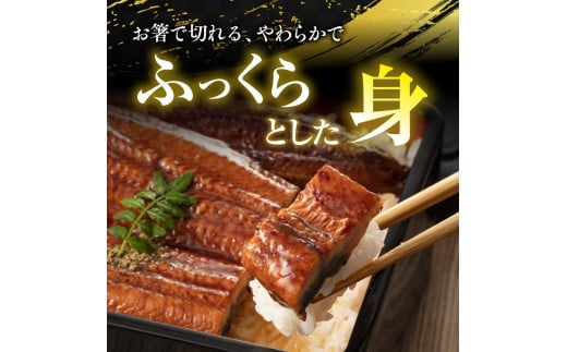 うなぎの蒲焼３尾 タレ付き（２本）YZ002