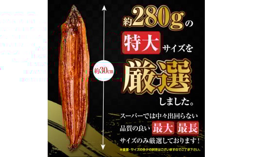 うなぎの蒲焼３尾 タレ付き（２本）YZ002