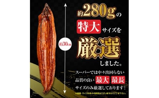 うなぎの蒲焼２尾 タレ付き（１本）YZ001