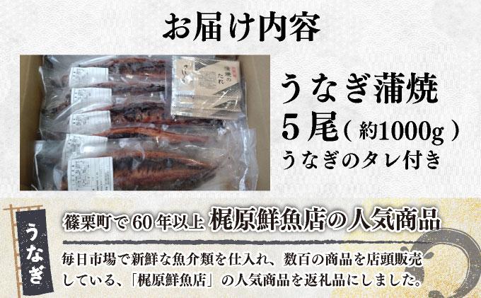 うなぎ蒲焼 約1,000 g(5尾)タレ付き | うなぎ 土用の丑の日 蒲焼 うなぎ蒲焼 1k g 5尾 タレ付き うな重 うなぎ丼 鰻 冷凍 お取り寄せ ギフト 人気 大容量 高級食材