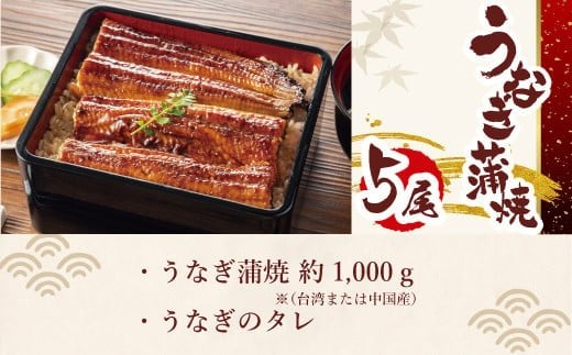 お魚屋さんのうなぎ蒲焼 約1000g（5尾）ウナギ ふっくら肉厚 大容量 RZ001