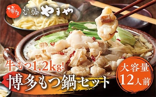 【大容量】もつ鍋セット　牛もつたっぷり計1.2k g！　博多もつ鍋やまや AZ040