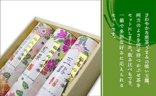 福岡の八女茶 詰合せ3種(YZ-30) CZ003