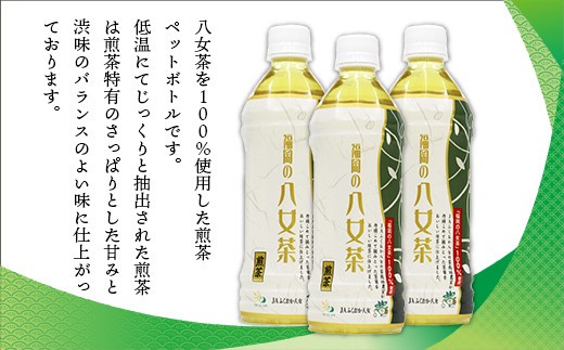 福岡の八女茶 煎茶ペットボトル(500ml)×24本 CZ001