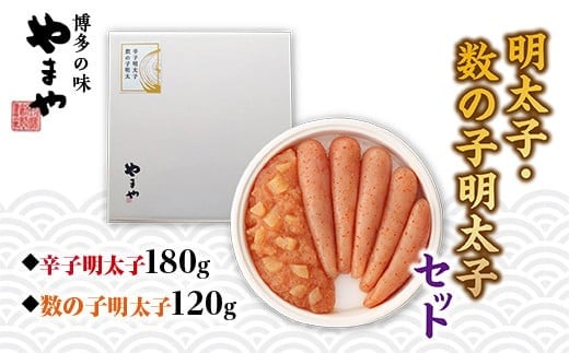 繧縺セ繧 譏主、ェ蟄舌サ謨ー縺ョ蟄先主、ェ蟄舌そ繝繝 AZ017