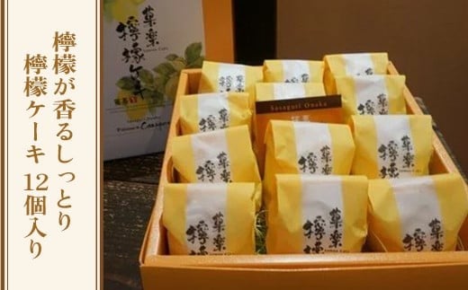 檸檬が香るしっとり檸檬ケーキ  gZ001