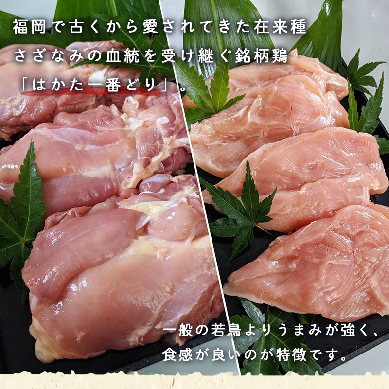 SZ004 はかた一番どり もも・むね食べ比べセット 鶏 鶏肉 福岡県産 ムネ モモ