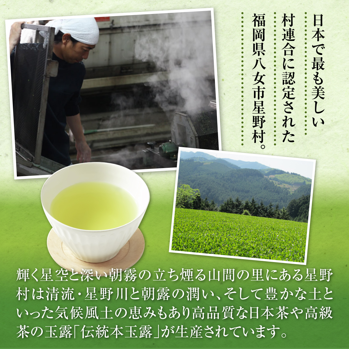 【定期便】奥八女星野村 深蒸し高級煎茶(深蒸し茶)1袋[200g]　6回コース　BX009