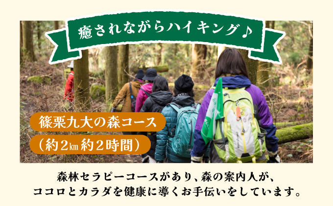 篠栗町森林セラピー体験1〜3名様【篠栗九大の森コース（約2km/約2時間）】FZ005 | 森林 セラピー ハイキング 自然 体験 森 観光 四国八十八ヶ所霊場 お遍路 篠栗町