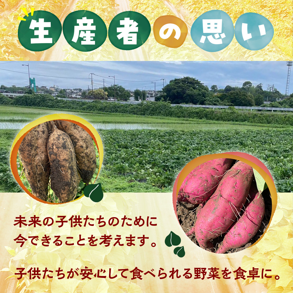 福岡篠栗町産の熟成さつまいも「紅はるか」「くりこがね」４.５㎏セット　YX005