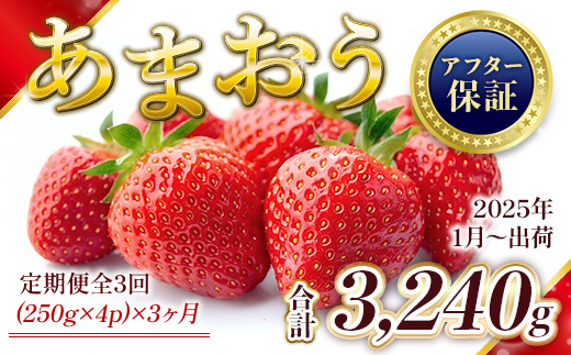 MZ060 【定期便全3回】福岡県産 あまおう　3240g　先行予約 2025年1月より順次発送