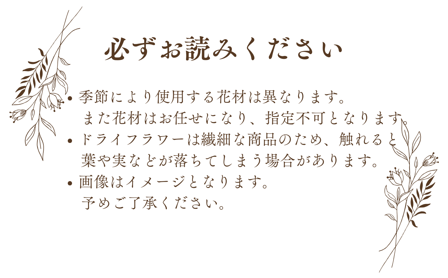 ドライフラワー季節の花定期便（年３回）（白・グリーン、ピンク、おまかせ）の3種よりランダムにお届け XY003