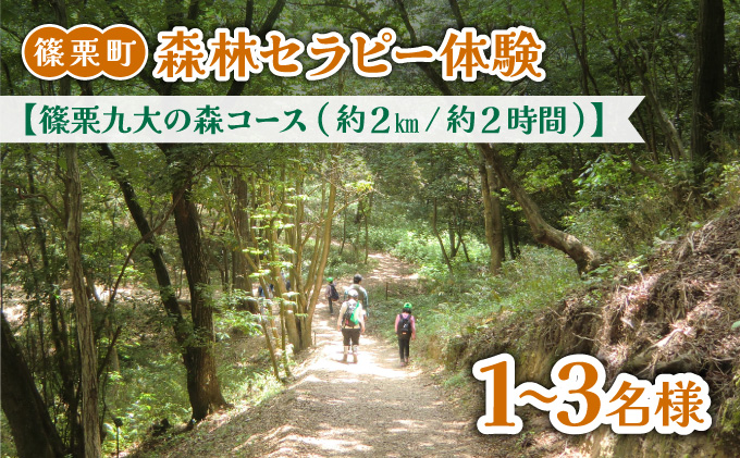 篠栗町森林セラピー体験1〜3名様【篠栗九大の森コース（約2km/約2時間）】FZ005 | 森林 セラピー ハイキング 自然 体験 森 観光 四国八十八ヶ所霊場 お遍路 篠栗町
