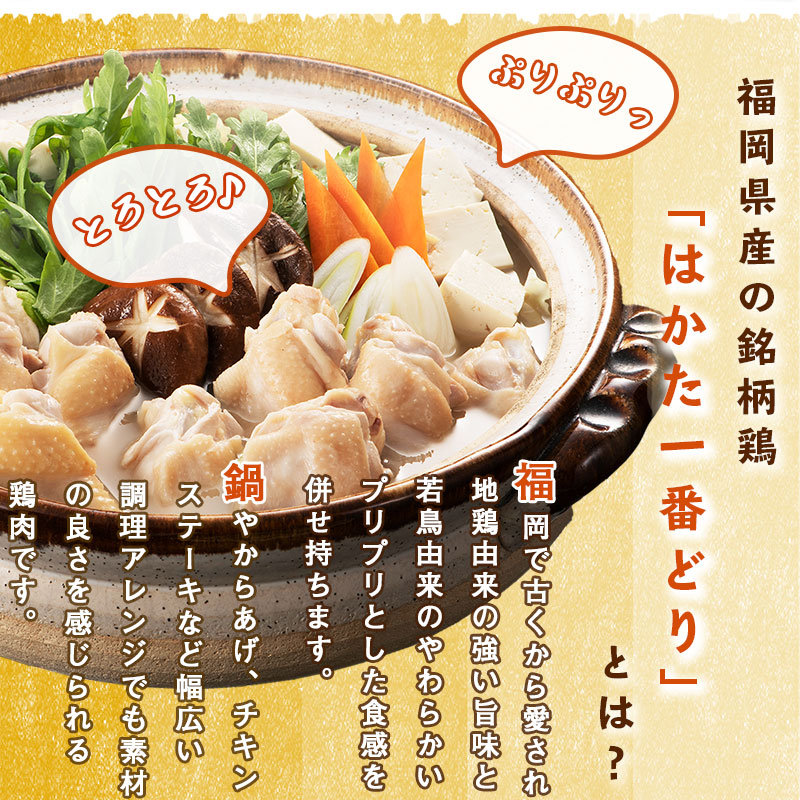 SZ001 はかた一番どり 水炊き和 鶏 鶏肉 福岡県産 鍋