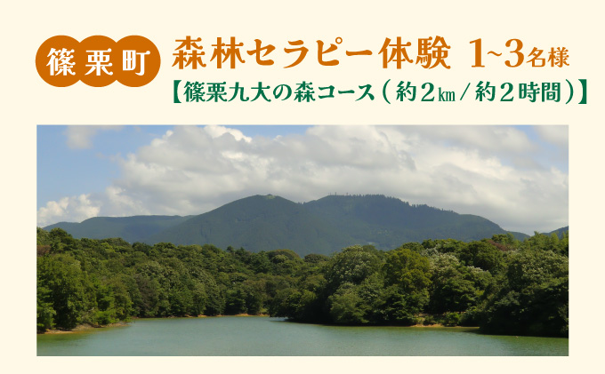 篠栗町森林セラピー体験1〜3名様【篠栗九大の森コース（約2km/約2時間）】FZ005 | 森林 セラピー ハイキング 自然 体験 森 観光 四国八十八ヶ所霊場 お遍路 篠栗町