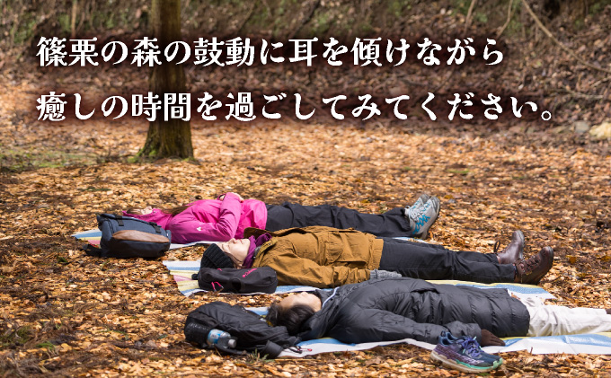 篠栗町森林セラピー体験1〜3名様【篠栗九大の森コース（約2km/約2時間）】FZ005 | 森林 セラピー ハイキング 自然 体験 森 観光 四国八十八ヶ所霊場 お遍路 篠栗町