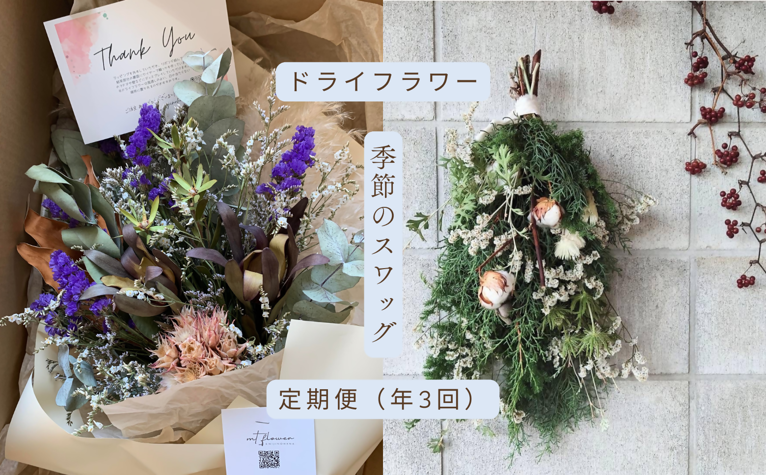 ドライフラワー季節の花定期便（年３回）（白・グリーン、ピンク、おまかせ）の3種よりランダムにお届け XY003