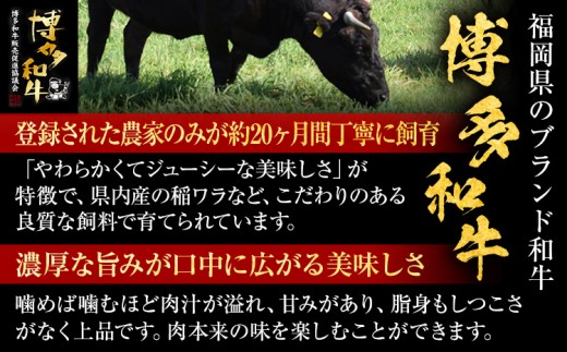 【博多和牛】 A4ランク以上 特選 ヒレ ステーキ 500g 牛肉 肉 ヒレ肉 ステーキ 焼肉 和牛 精肉 福岡 ブランド牛 国産牛 牛ヒレステーキ 赤身 高級 希少部位 フィレ お取り寄せグルメ