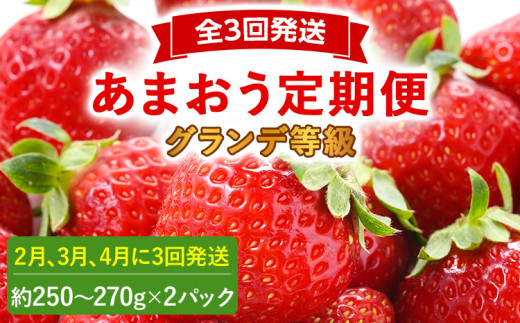 【2027年発送先行予約】あまおう2パック×3回発送定期便 (2月、3月、4月発送) 定期便 約250～270g×2パック いちご フルーツ 果物 あまおう 苺 イチゴ 福岡【発送時期2027年2月、3月、4月】