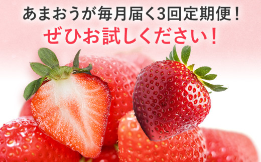 【2027年発送先行予約】あまおう2パック×3回発送定期便 (2月、3月、4月発送) 定期便 約250～270g×2パック いちご フルーツ 果物 あまおう 苺 イチゴ 福岡【発送時期2027年2月、3月、4月】