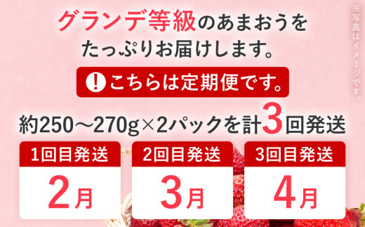 【2027年発送先行予約】あまおう2パック×3回発送定期便 (2月、3月、4月発送) 定期便 約250～270g×2パック いちご フルーツ 果物 あまおう 苺 イチゴ 福岡【発送時期2027年2月、3月、4月】