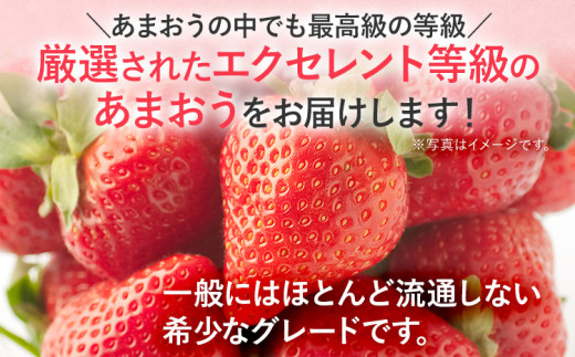 【2027年発送先行予約】プレミアム あまおう EX（化粧箱入り）いちご フルーツ 果物 あまおう 約400g×1パック 苺 イチゴ ギフト 贈答用 贈り物 お祝い 祝い 化粧箱 福岡【発送時期2027年2月上旬〜2027年4月上旬】