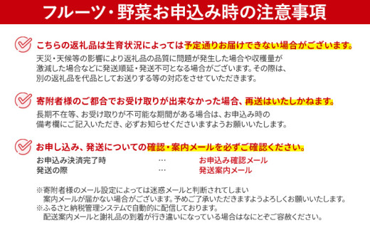 【2027年発送先行予約】プレミアム あまおう EX（化粧箱入り）いちご フルーツ 果物 あまおう 約400g×1パック 苺 イチゴ ギフト 贈答用 贈り物 お祝い 祝い 化粧箱 福岡【発送時期2027年2月上旬〜2027年4月上旬】