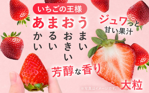 【2027年発送先行予約】プレミアム あまおう EX（化粧箱入り）いちご フルーツ 果物 あまおう 約400g×1パック 苺 イチゴ ギフト 贈答用 贈り物 お祝い 祝い 化粧箱 福岡【発送時期2027年2月上旬〜2027年4月上旬】
