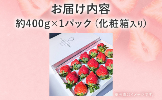 【2027年発送先行予約】プレミアム あまおう EX（化粧箱入り）いちご フルーツ 果物 あまおう 約400g×1パック 苺 イチゴ ギフト 贈答用 贈り物 お祝い 祝い 化粧箱 福岡【発送時期2027年2月上旬〜2027年4月上旬】