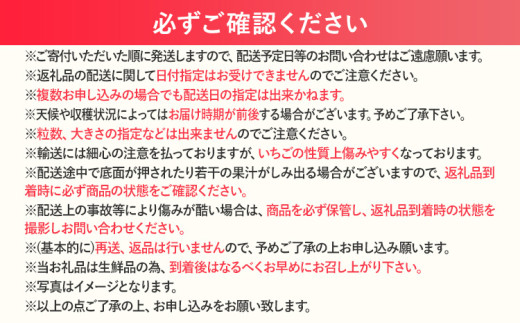 【2027年発送先行予約】プレミアム あまおう EX（化粧箱入り）いちご フルーツ 果物 あまおう 約400g×1パック 苺 イチゴ ギフト 贈答用 贈り物 お祝い 祝い 化粧箱 福岡【発送時期2027年2月上旬〜2027年4月上旬】