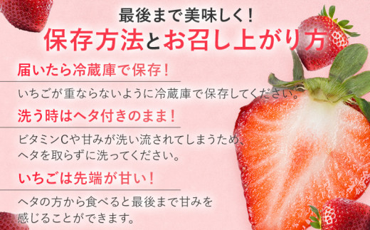 【2027年発送先行予約】プレミアム あまおう EX（化粧箱入り）いちご フルーツ 果物 あまおう 約400g×1パック 苺 イチゴ ギフト 贈答用 贈り物 お祝い 祝い 化粧箱 福岡【発送時期2027年2月上旬〜2027年4月上旬】