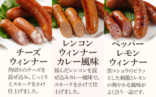 10種類のソーセージ 食べ比べ セット（Oセット） ウィンナー 生ウィンナー うえすたん セット 食べ比べ 詰め合わせ 福岡県 志免町