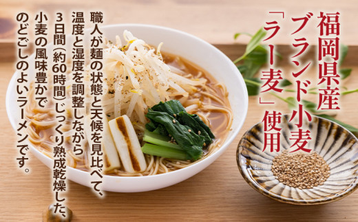 食べ比べ たいゆうめん 3種 6食入（ラー麦使用） 博多 ラー麦 味噌 ごま 醤油 生姜 塩 ゆず 植物性 福岡県 福岡 九州 グルメ お取り寄せ