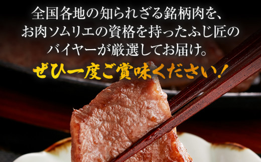 【厳選肉専門店 ふじ匠】 博多和牛 モモ・ウデ焼肉用（お肉ソムリエ開発焼肉のたれ付） 肉 牛肉 博多和牛 もも肉 ウデ肉 焼き肉 タレ 福岡 グルメ 贈り物 冷凍 ギフト 柔らかい ステーキ お取り寄せ 食品