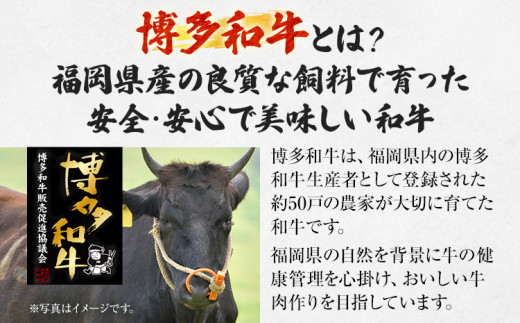 【厳選肉専門店 ふじ匠】 博多和牛の牛まぶし 肉 牛肉 博多和牛 赤身肉 肉加工品 タレ 山椒 濃縮出汁付 ひつまぶし 福岡 グルメ 贈り物 冷凍 ギフト 柔らかい ステーキ 丼 お取り寄せ 食品