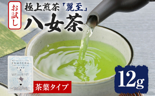 お試し企画【八女茶】原田茶園 極上煎茶 麗至 12g（茶葉タイプ） お試し 八女 極上 煎茶 福岡 茶葉 お茶
