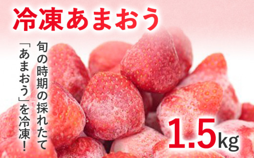 冷凍あまおう1.5kg お取り寄せグルメ お取り寄せ 福岡 お土産 九州 福岡土産 取り寄せ グルメ 福岡県