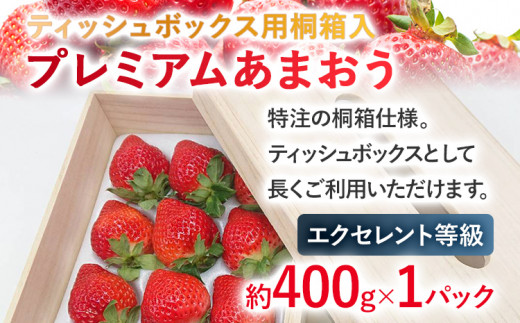 【2027年発送先行予約】ティッシュボックス用特別仕様の桐箱入りプレミアムあまおう　あまおうEX400ｇｘ1パック　ギフト、お祝い、贈答用 お取り寄せグルメ お取り寄せ 福岡 お土産 九州 福岡土産 取り寄せ グルメ 福岡県