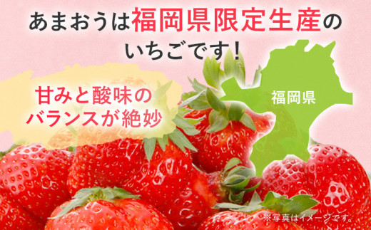 【2027年発送先行予約】あまおうデラックス（約250‐270g x4パック） お取り寄せグルメ お取り寄せ 福岡 お土産 九州 福岡土産 取り寄せ グルメ 福岡県