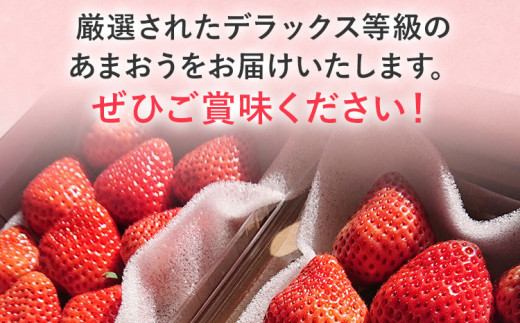 【2027年発送先行予約】あまおうデラックス（約250‐270g x4パック） お取り寄せグルメ お取り寄せ 福岡 お土産 九州 福岡土産 取り寄せ グルメ 福岡県